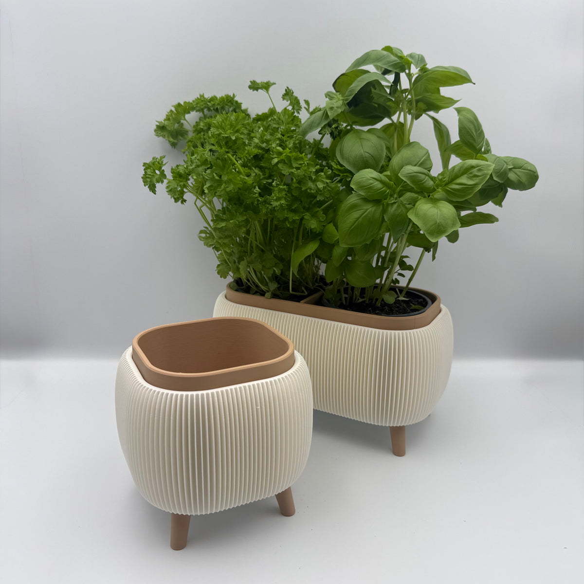 Thalor Herbs