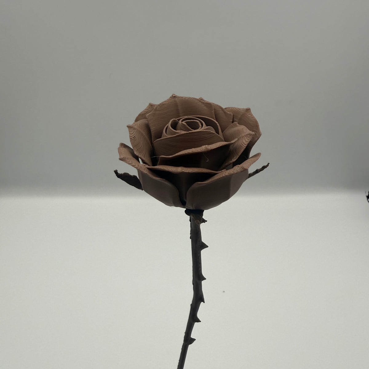 Tørrede Rose